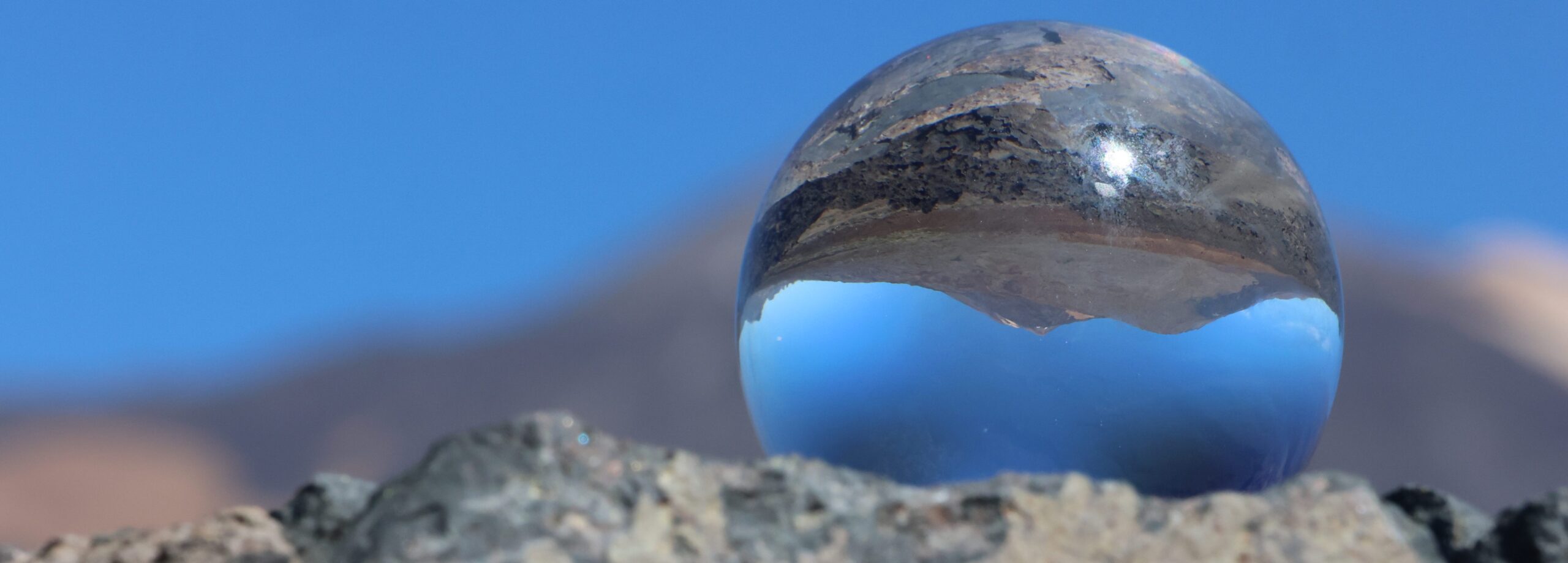 Header Image